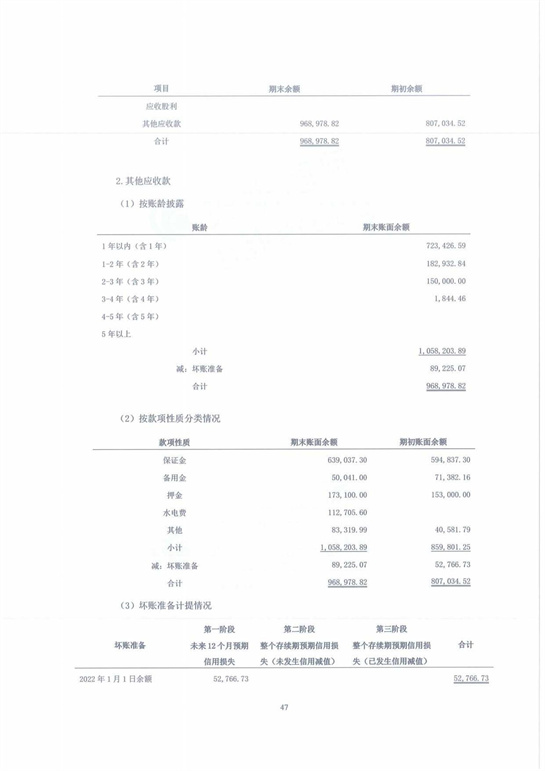 11、匯杰設(shè)計-2022年度審計報告_47.jpg